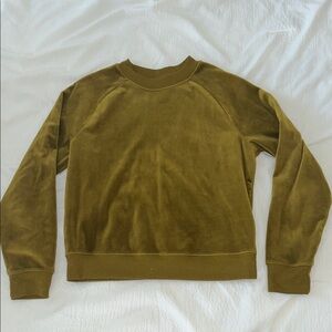 Olive Green Velvet Sweatshirt